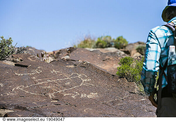 Boulder covered in petroglyphs at Little Petroglyph Canyon  Ridgecrest  California  USA