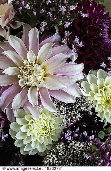 Bouquet of three varieties of dahlias mixed with other flowers