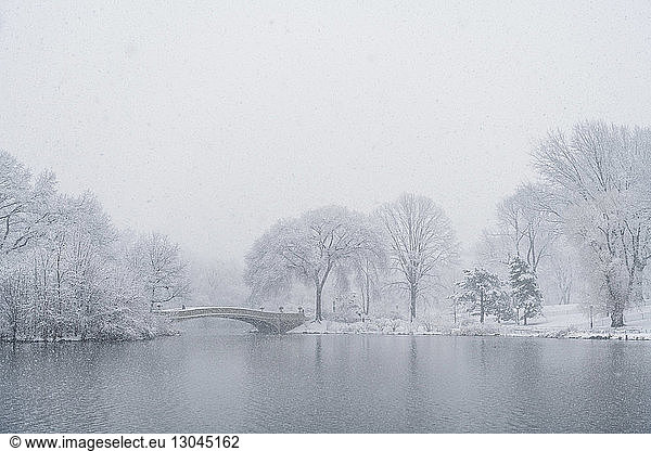 Bow bridge over lake amidst bare trees during snowfall