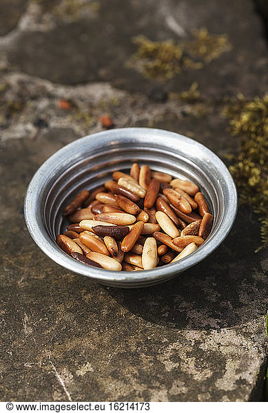 Bowl filled with pine nuts  close up