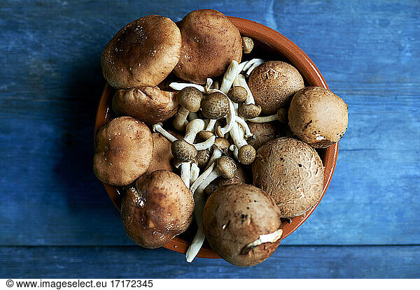 Bowl of brown edible mushrooms