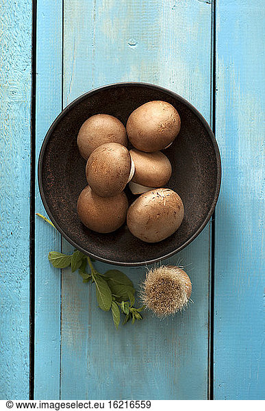 Bowl of brown mushrooms on table close up