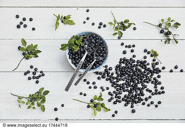 Bowl of fresh blueberries lying on white table