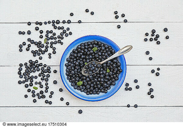 Bowl of fresh wild blueberries