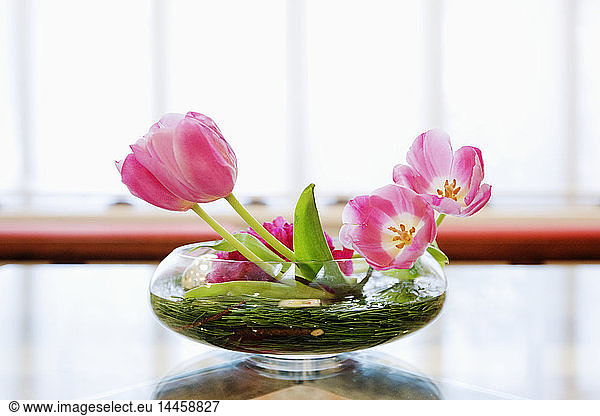 Bowl of Lilies