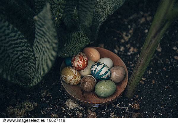 Bowl of organically colored Easter eggs lying outdoors