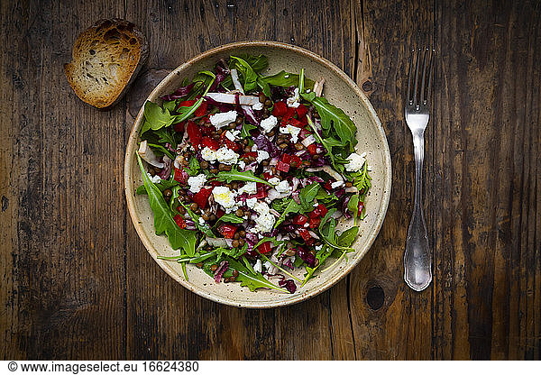 Bowl of vegetable salad with lentils  arugula  red bell pepper  feta cheese and radicchio