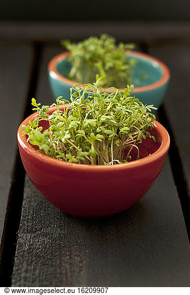 Bowls of cress on wooden table  close up