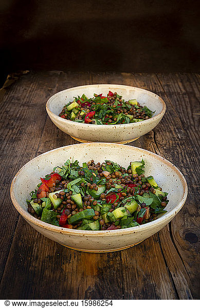 Bowls of vegan lentil salad with cucumbers  bell peppers and parsley