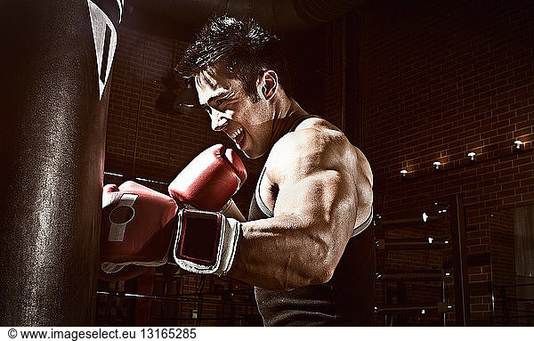 Boxer-Training mit Boxsack