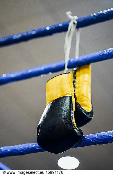 Boxing gloves hanging from the ring ropes