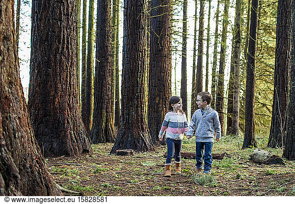 Boy and girl holding hands  walking through a forest.