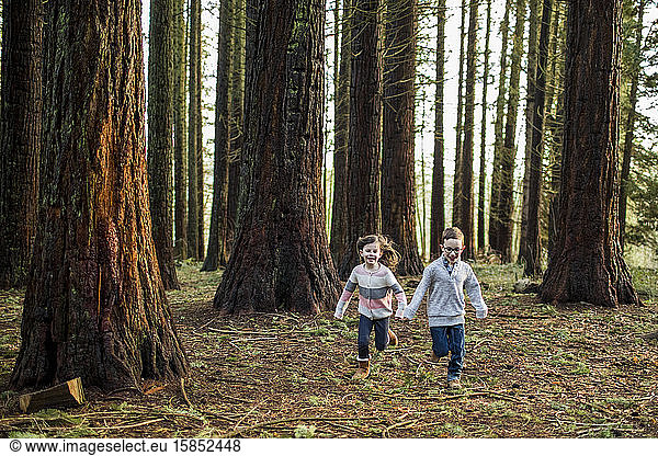 boy and girl running through trees in the park.