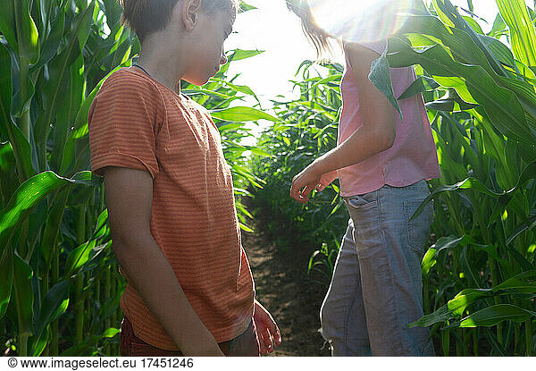 boy and girl walking through green cornfield