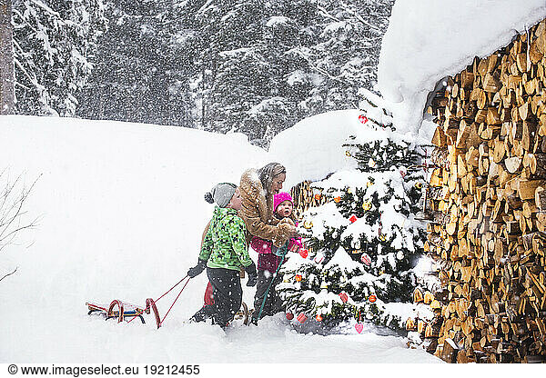 Boy and girl with grandmother decorating Christmas tree