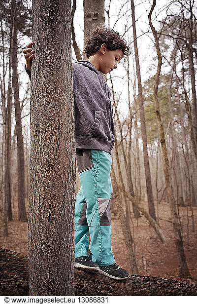 Boy (6-7) balancing on log