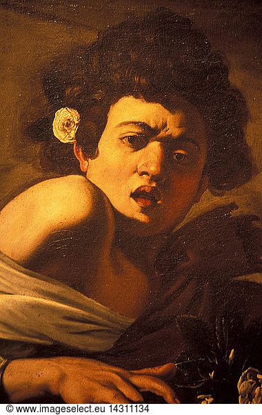 Boy bitten by a lizard  Caravaggio work of art  Palazzo Ducale  Genoa  Ligury  Italy