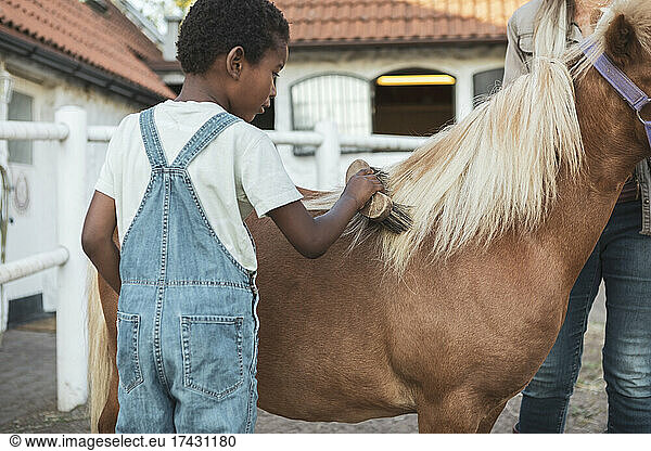 Boy brushing horse in farm