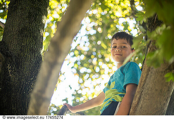 Boy climbing a tree with green leaves around him