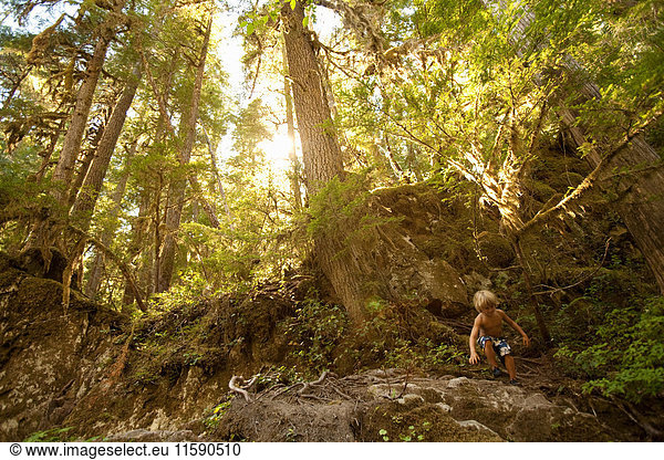 Boy climbing over rocks in forest