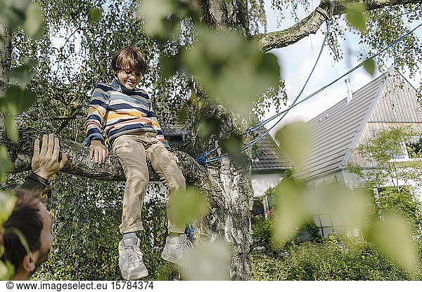 Boy climbing tree  sitting on branch  father watching