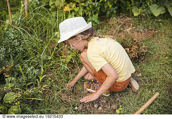 Boy crouching and planting in vegetable garden