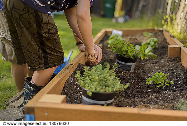 Boy digging soil in raised-bed gardening at backyard