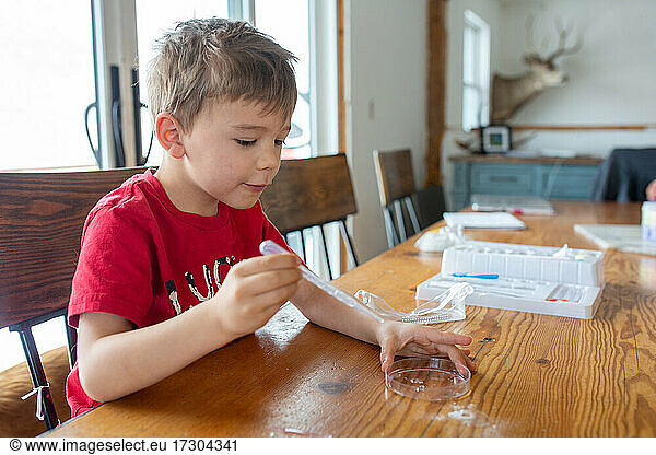 Boy doing science experiments at home at table