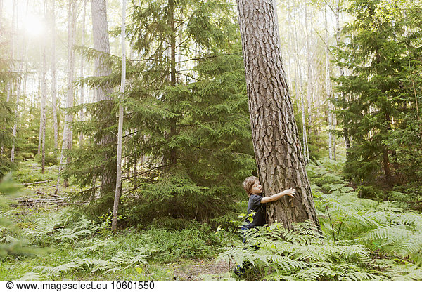 Boy embracing tree trunk in forest