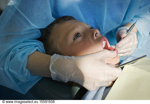 Boy getting teeth examined by the dentist