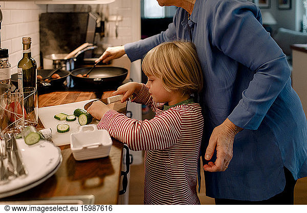 Boy helping grandmother in cutting vegetable at home