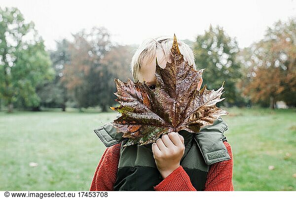 boy hiding behind a large maple leaf outdoors in autumn
