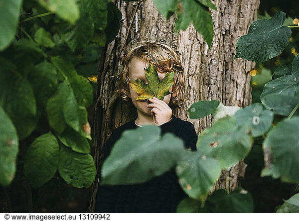 Boy hiding face with leaf while standing against tree