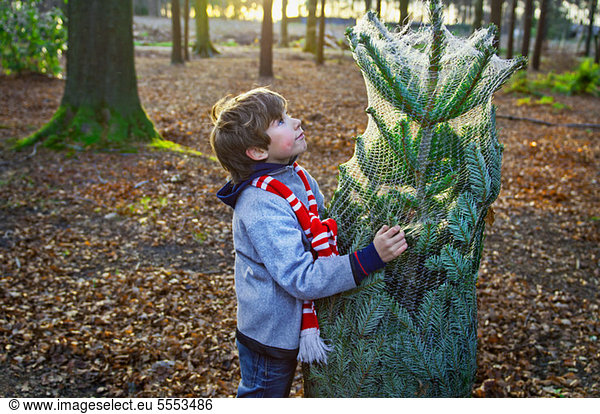 Boy holding Christmas tree in forest