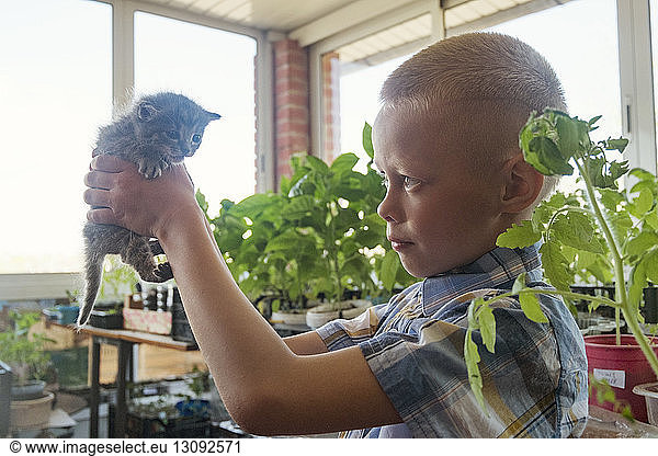 Boy holding kitten in plant nursery