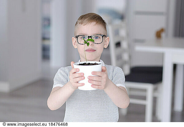 Boy holding potted plant at home