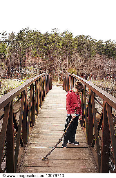 Boy (6-7) holding stick on footbridge