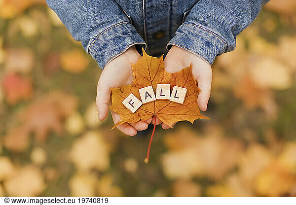 Boy holding wooden fall letters on leaf in hand at autumn park