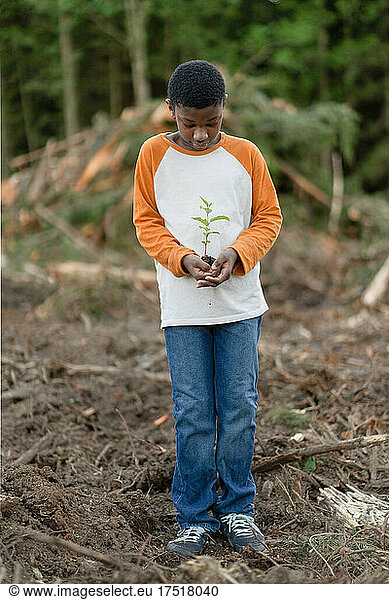 Boy holds sapling in cupped hands