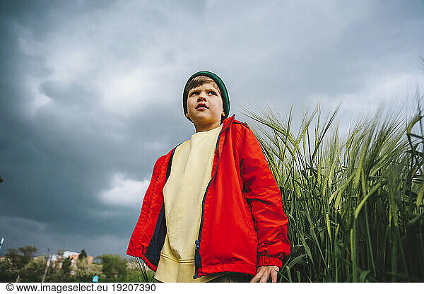 Boy in red jacket standing by barley plants on field with cloudy sky in background