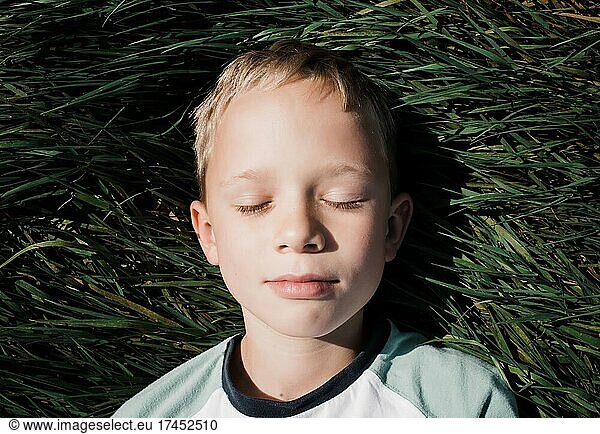 boy lying down in green grass relaxing in the summer sunshine