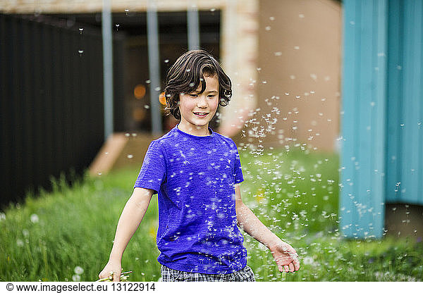 Boy playing with dandelion petals while standing at yard