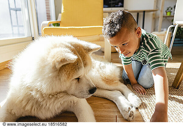 Boy playing with dog at home