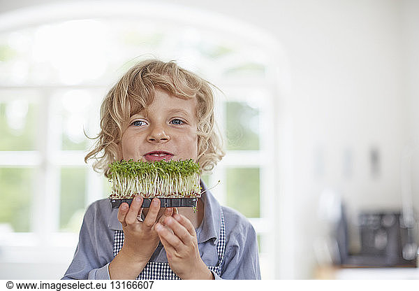 Boy playing with vegetable in kitchen
