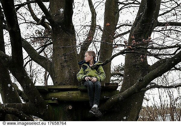 boy sitting in a tree house in a large tree thinking