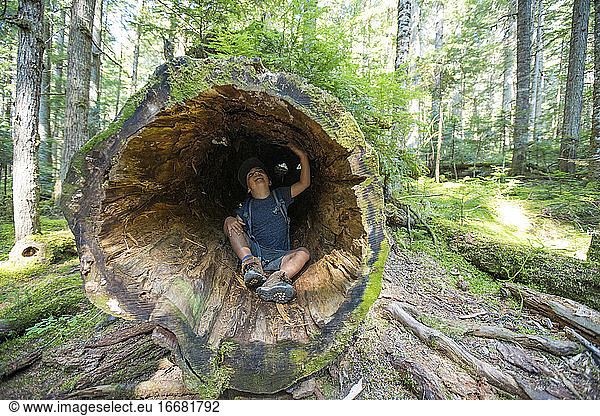 Boy sitting inside discovering and exploring old growth tree