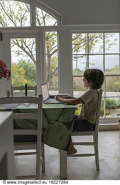 Boy (8-9) using laptop in dining room