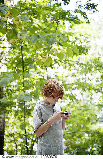 Boy using phone while standing against trees in forest