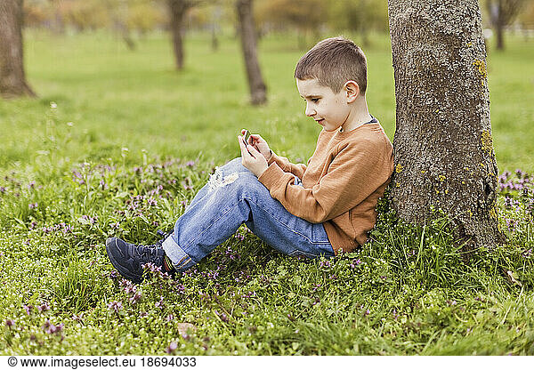 Boy using smart phone sitting by tree at park