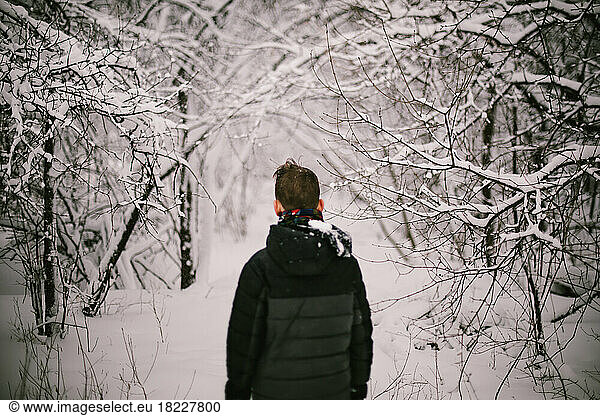 Boy walks into forest in snow storm with white wonderland